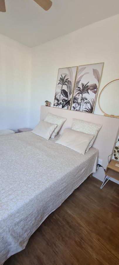 Maison De Ville Au Bord Du Lez, 170M2 Cosy. Bollène Dış mekan fotoğraf